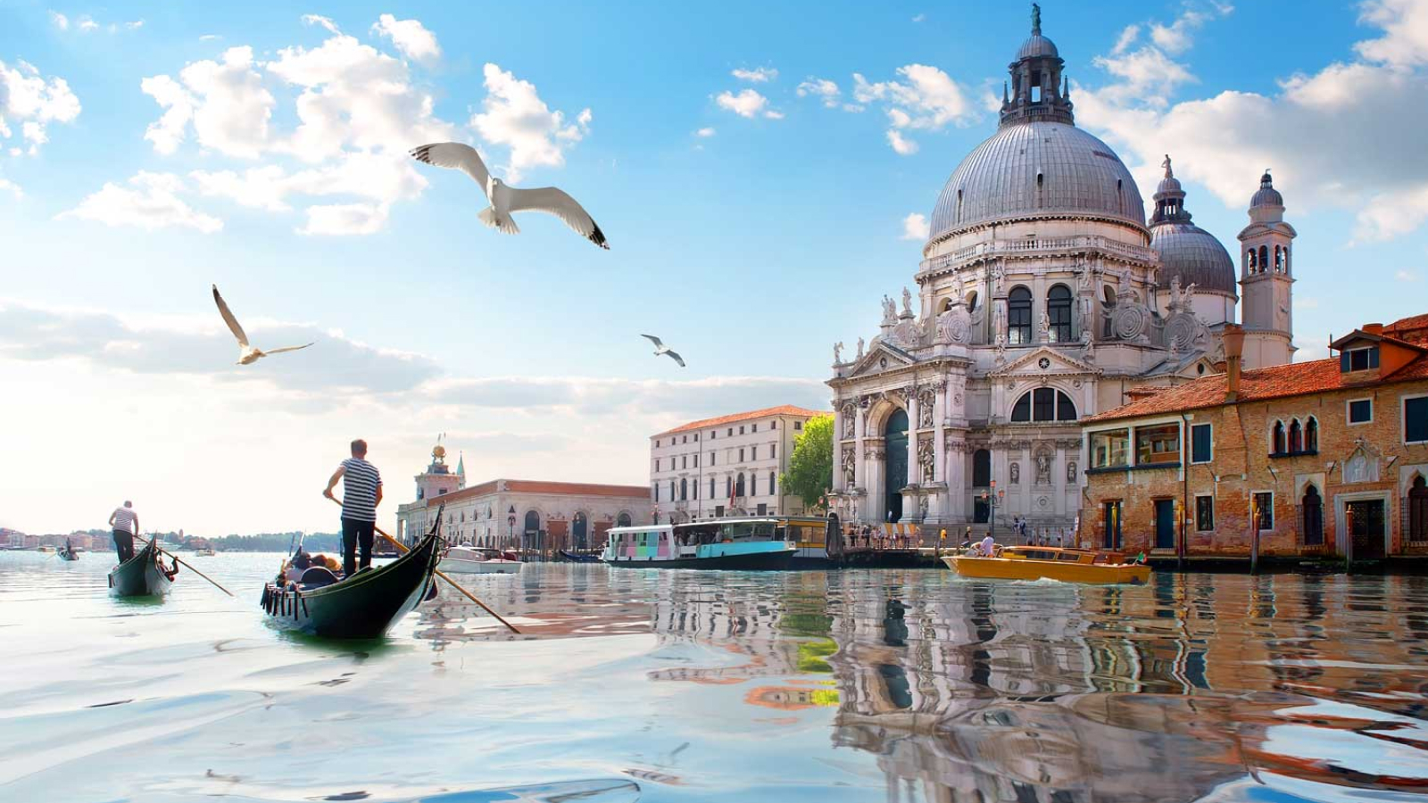 Verona  - Milano – Venice – Trieste- 4 ditë €233